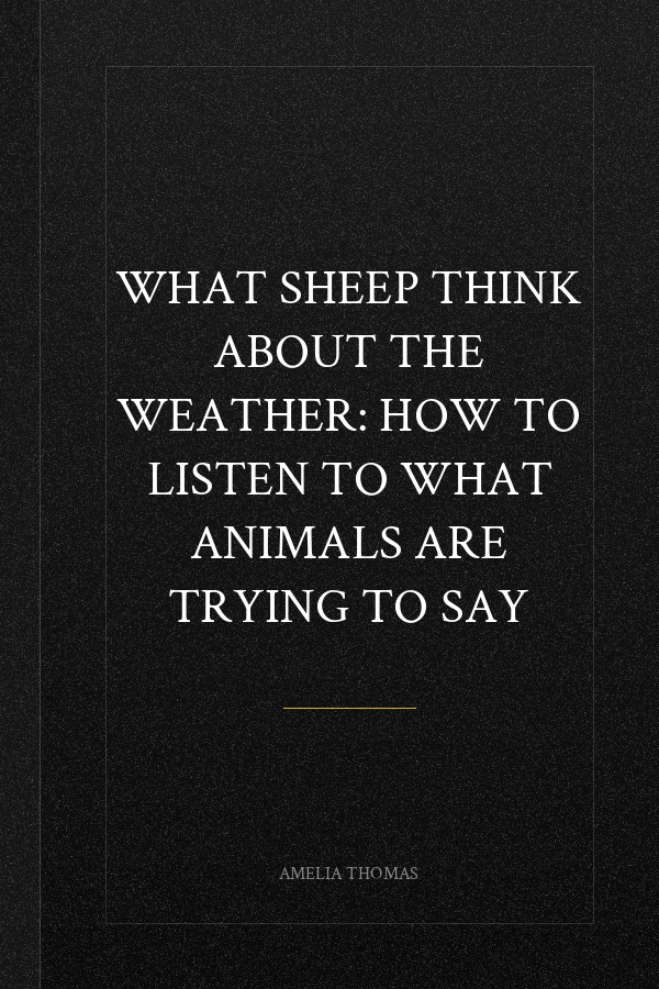 What Sheep Think About the Weather: How to Listen to What Animals Are Trying to Say