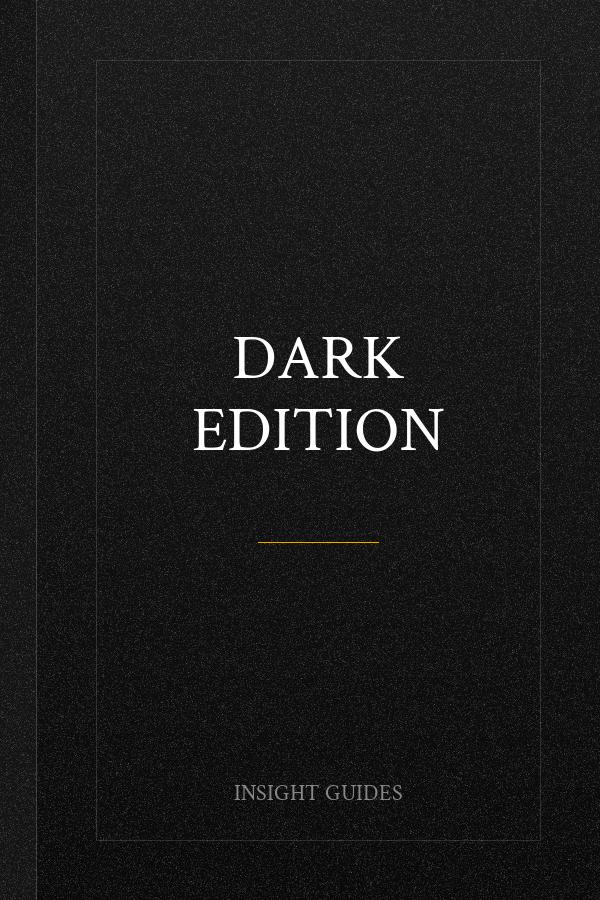 Insight Guides Cruising and Cruise Ships 2025: Cruise Guide with eBook (Insight Guides Cruise Guide)