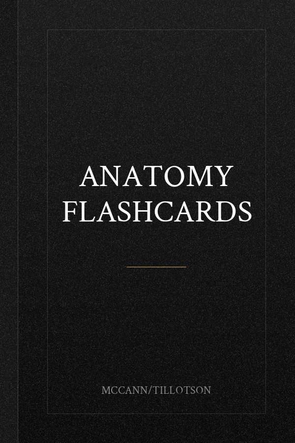 Anatomy Flashcards