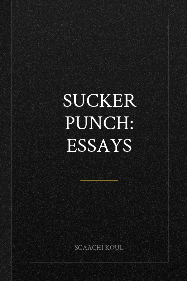 Sucker Punch: Essays